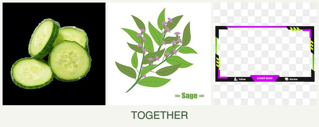 Can you plant cucumbers, sage and limes together?