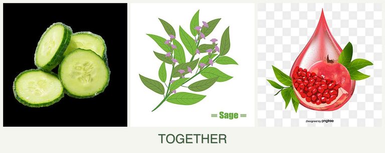 Can you plant cucumbers, sage and pomegranates together?