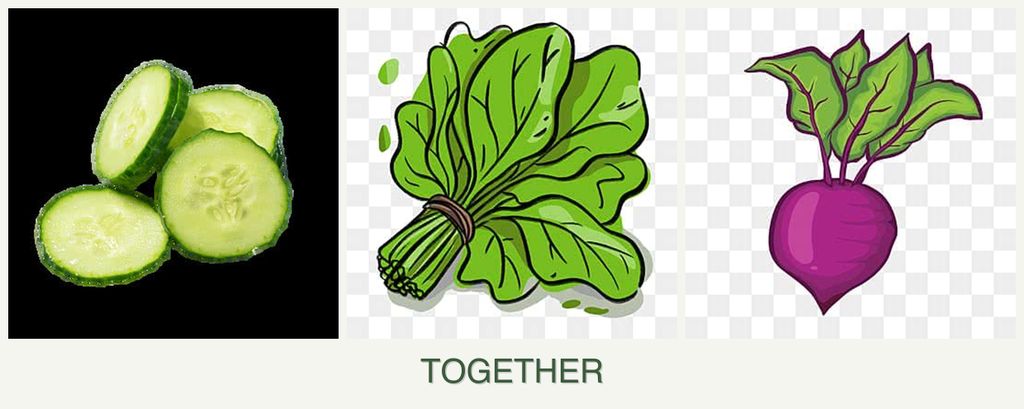 Can you plant cucumbers, spinach and beets together?