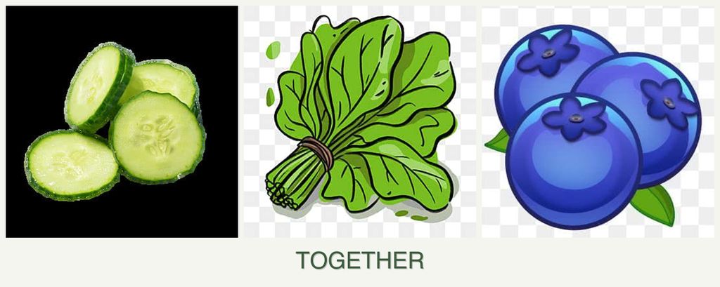 Can you plant cucumbers, spinach and blueberries together?