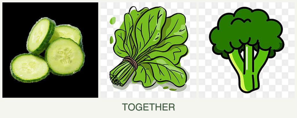 Can you plant cucumbers, spinach and broccoli together?