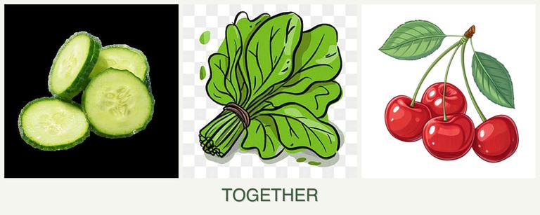 Can you plant cucumbers, spinach and cherries together?