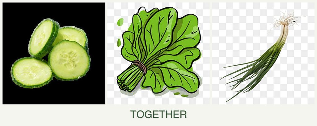 Can you plant cucumbers, spinach and chives together?