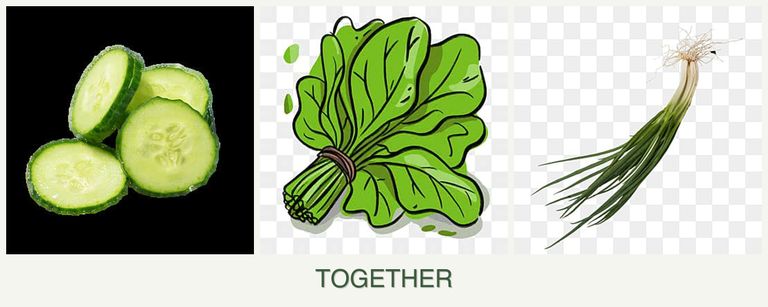 Can you plant cucumbers, spinach and chives together?