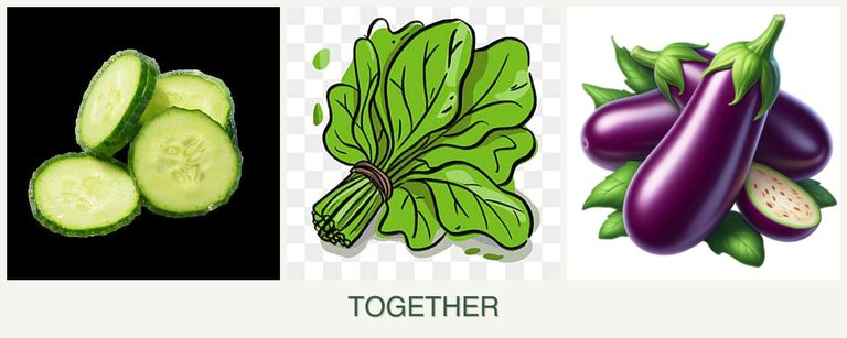 Can you plant cucumbers, spinach and eggplant together?