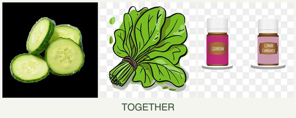 Can you plant cucumbers, spinach and geraniums together?