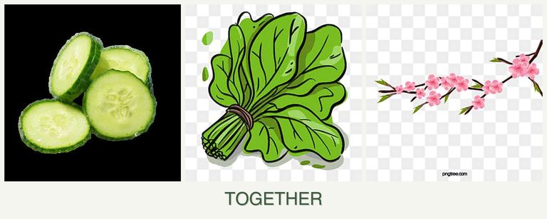 Can you plant cucumbers, spinach and peaches together?