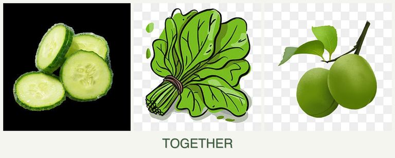 Can you plant cucumbers, spinach and plums together?