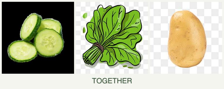 Can you plant cucumbers, spinach and potatoes together?