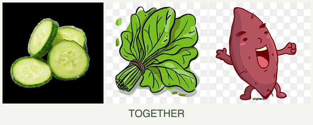 Can you plant cucumbers, spinach and sweet potatoes together?