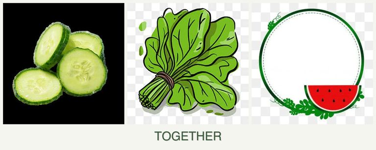 Can you plant cucumbers, spinach and watermelons together?