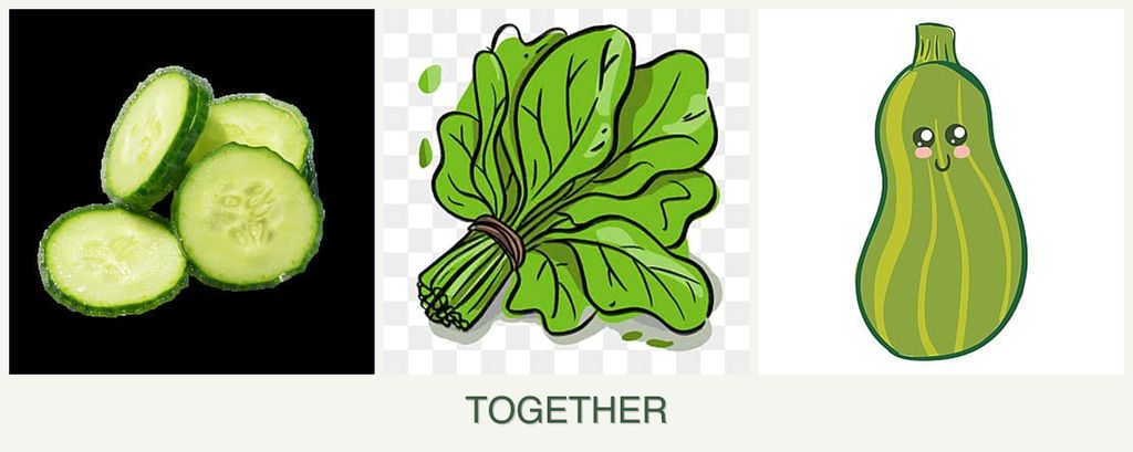 Can you plant cucumbers, spinach and zucchini together?