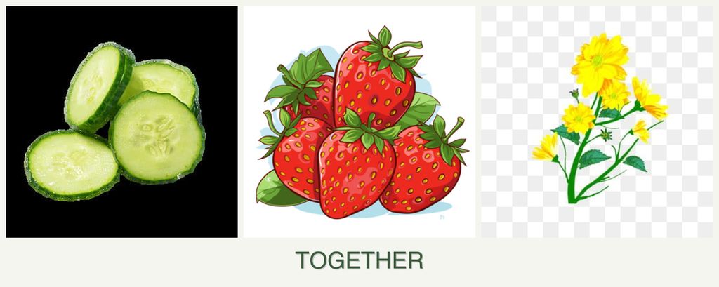 Can you plant cucumbers, strawberries and calendula together?