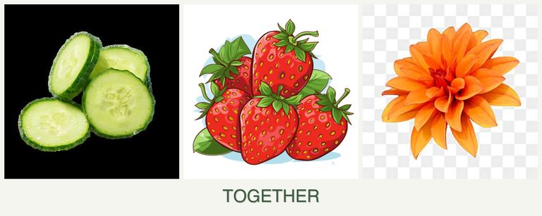 Can you plant cucumbers, strawberries and dahlias together?