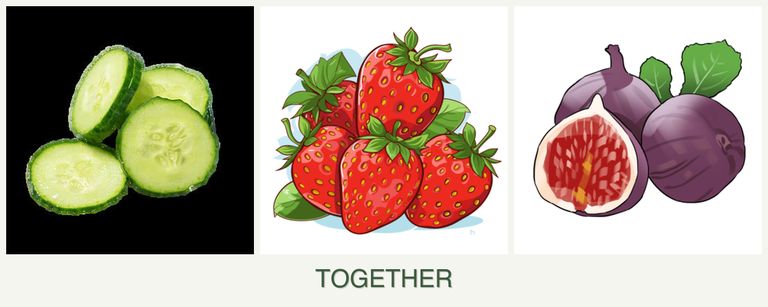 Can you plant cucumbers, strawberries and figs together?