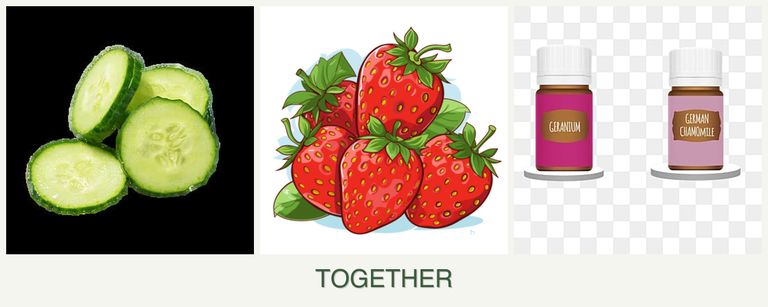 Can you plant cucumbers, strawberries and geraniums together?