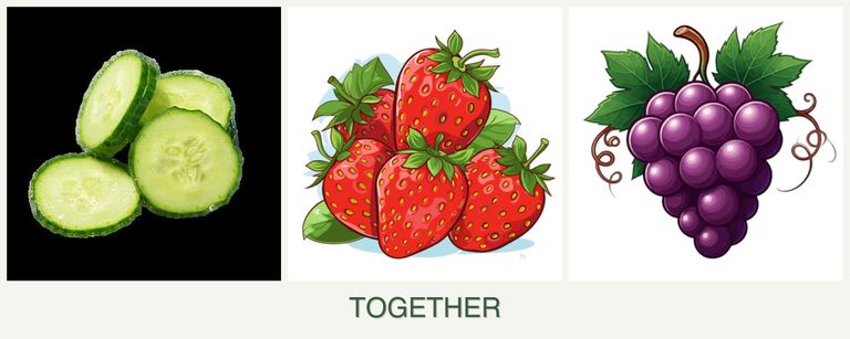 Can you plant cucumbers, strawberries and grapes together?