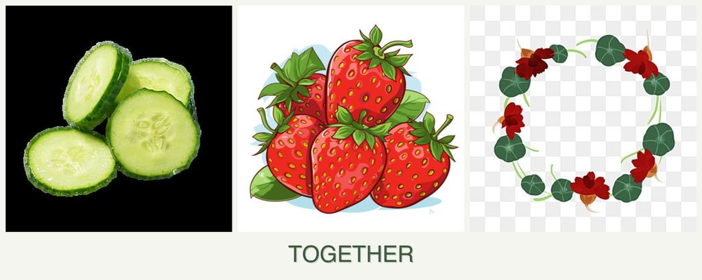 Can you plant cucumbers, strawberries and nasturtiums together?