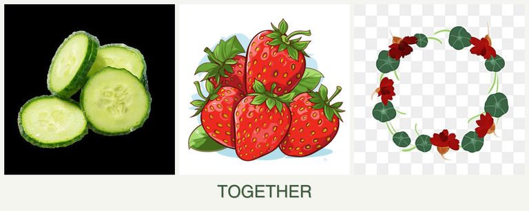 Can you plant cucumbers, strawberries and nasturtiums together?