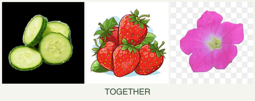 Can you plant cucumbers, strawberries and petunias together?