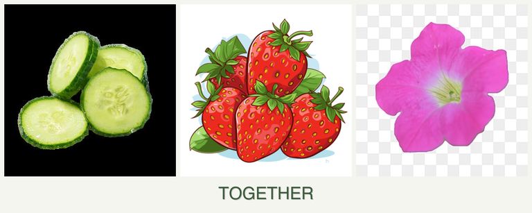 Can you plant cucumbers, strawberries and petunias together?