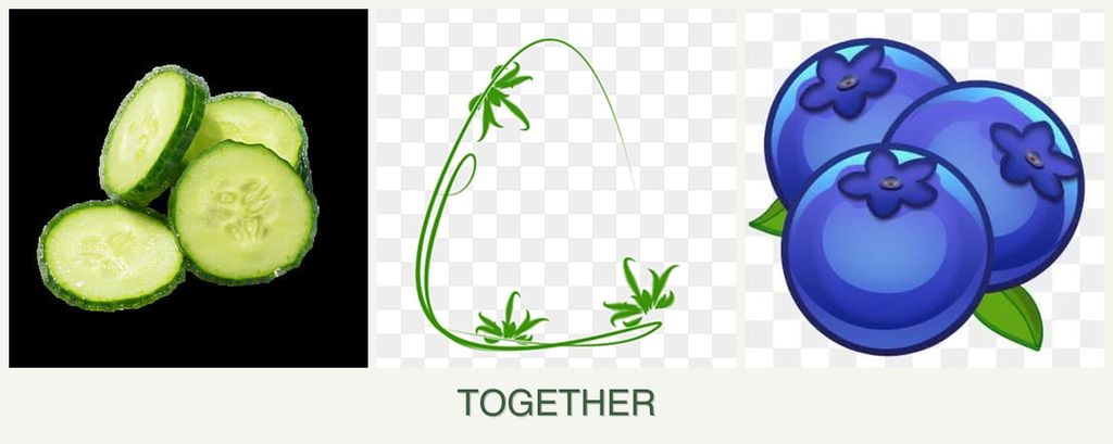 Can you plant cucumbers, tarragon and blueberries together?