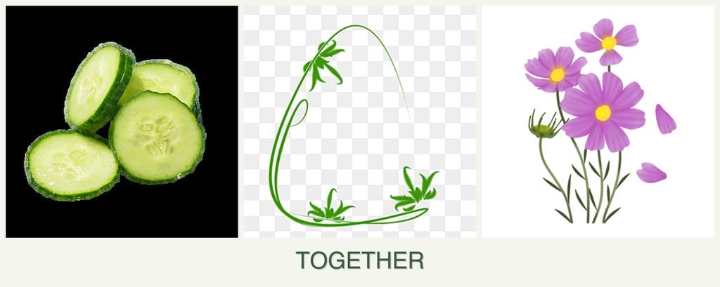 Can you plant cucumbers, tarragon and cosmos together?