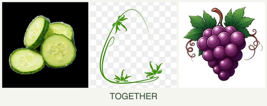Can you plant cucumbers, tarragon and grapes together?