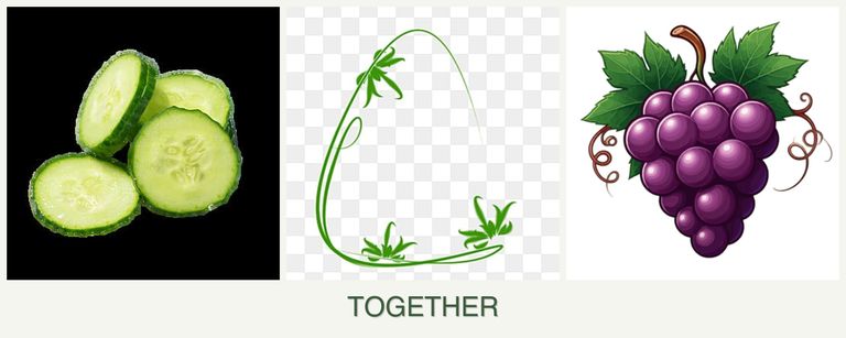 Can you plant cucumbers, tarragon and grapes together?