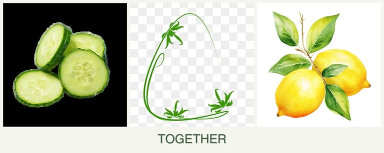 Can you plant cucumbers, tarragon and lemons together?