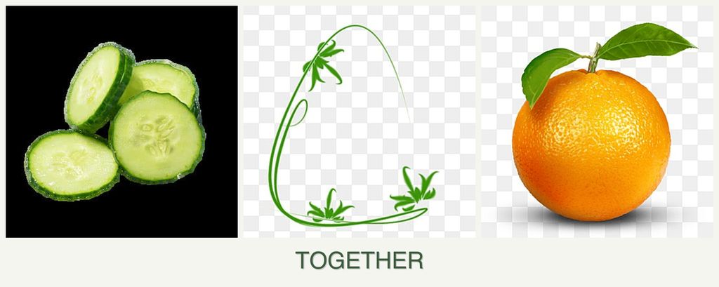 Can you plant cucumbers, tarragon and oranges together?