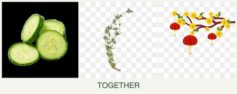 Can you plant cucumbers, thyme and apricots together?