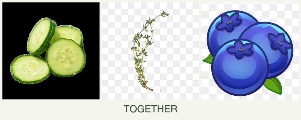 Can you plant cucumbers, thyme and blueberries together?