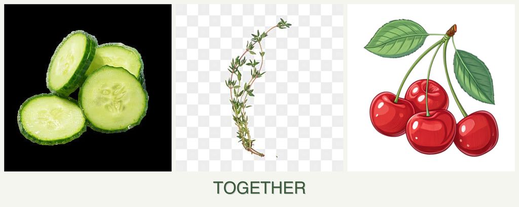 Can you plant cucumbers, thyme and cherries together?