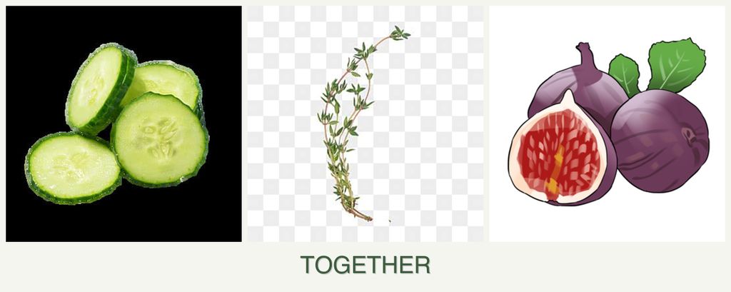 Can you plant cucumbers, thyme and figs together?