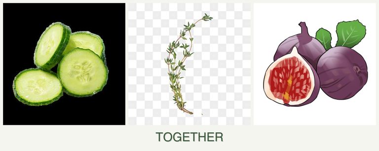 Can you plant cucumbers, thyme and figs together?