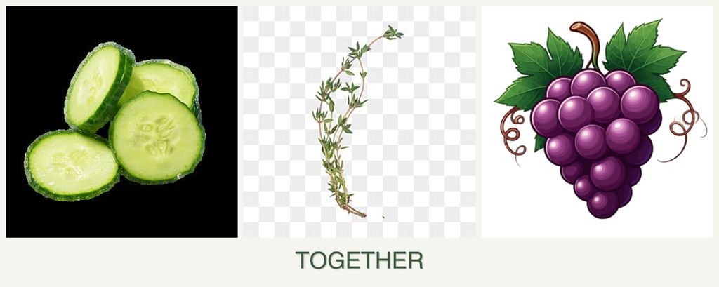 Can you plant cucumbers, thyme and grapes together?