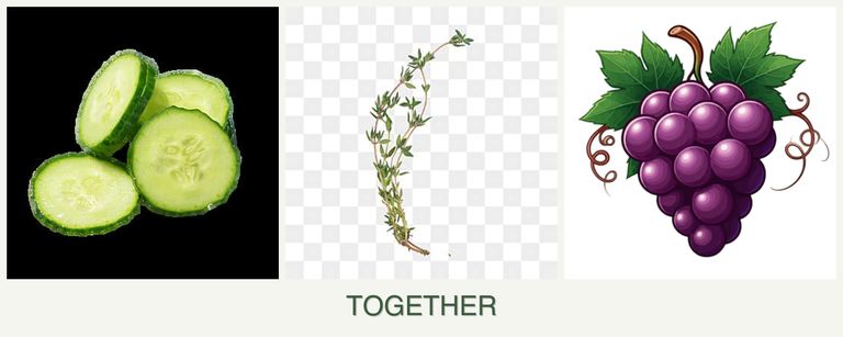 Can you plant cucumbers, thyme and grapes together?