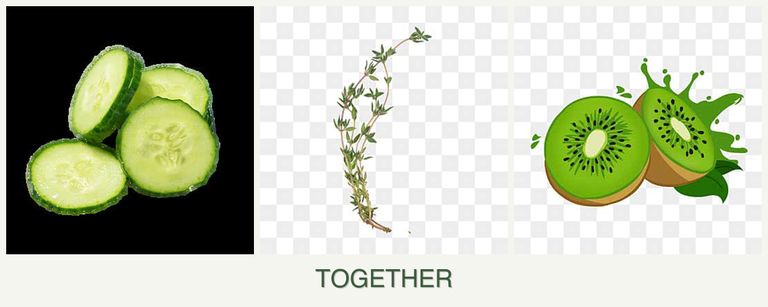 Can you plant cucumbers, thyme and kiwi together?