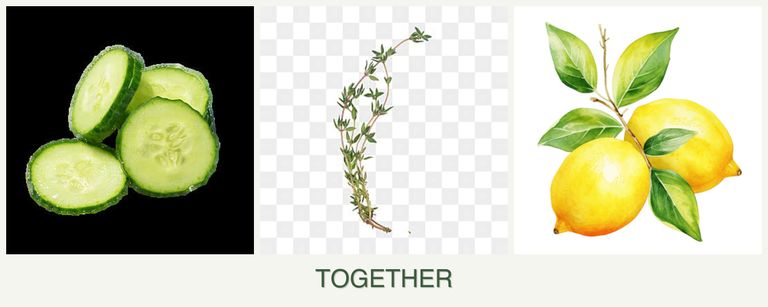 Can you plant cucumbers, thyme and lemons together?
