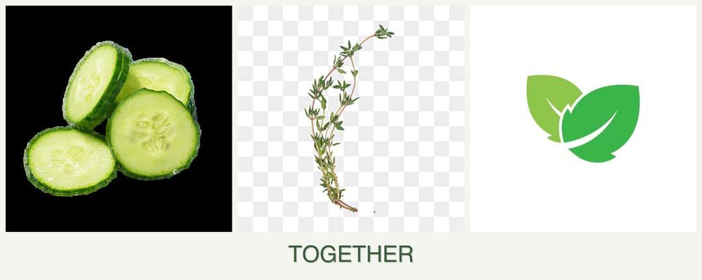 Can you plant cucumbers, thyme and mint together?