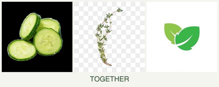 Can you plant cucumbers, thyme and mint together?