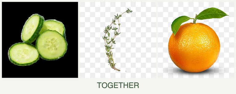 Can you plant cucumbers, thyme and oranges together?