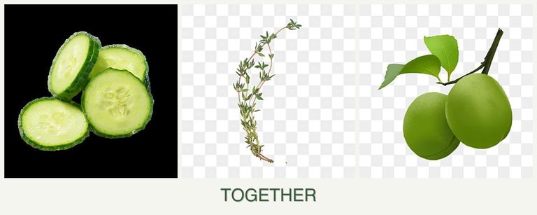 Can you plant cucumbers, thyme and plums together?