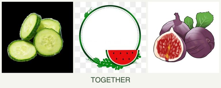 Can you plant cucumbers, watermelons and figs together?
