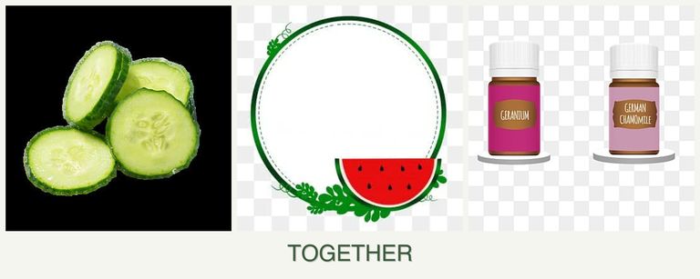 Can you plant cucumbers, watermelons and geraniums together?