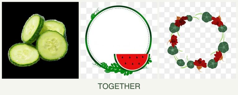 Can you plant cucumbers, watermelons and nasturtiums together?