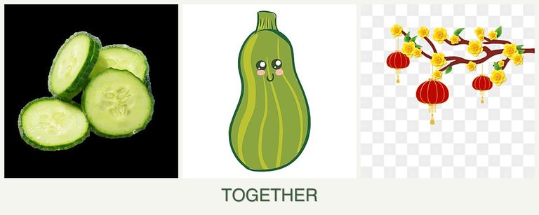 Can you plant cucumbers, zucchini and apricots together?