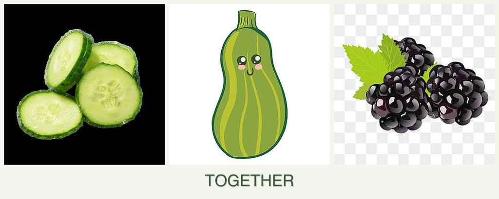 Can you plant cucumbers, zucchini and blackberries together?