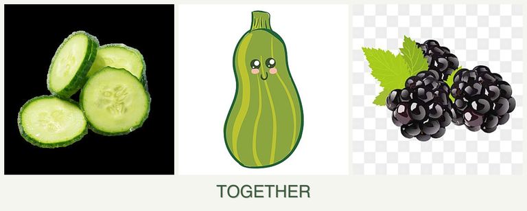 Can you plant cucumbers, zucchini and blackberries together?